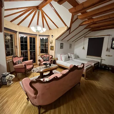 Vintage Penthouse Homestay *